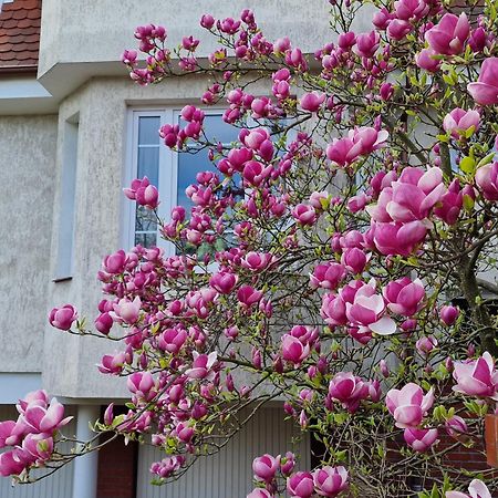 Apartament Magnolia Sopot Buitenkant foto